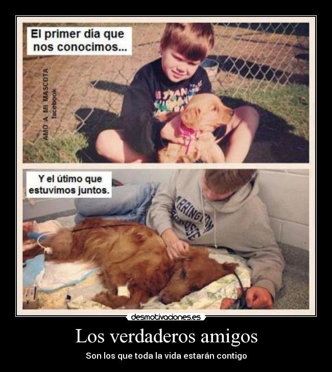 carteles amigos tavithopgonzalez verdad desmotivaciones