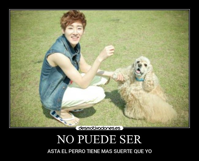 carteles kpoper desmotivaciones