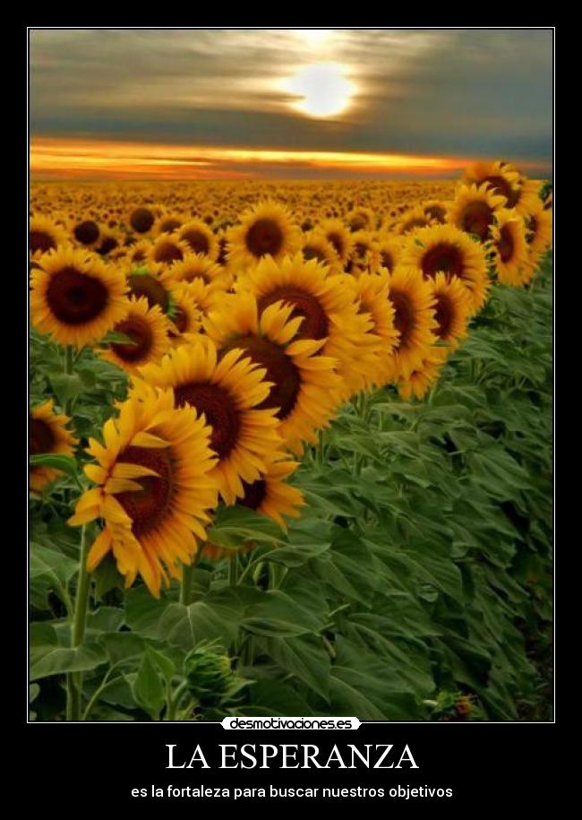 LA ESPERANZA -