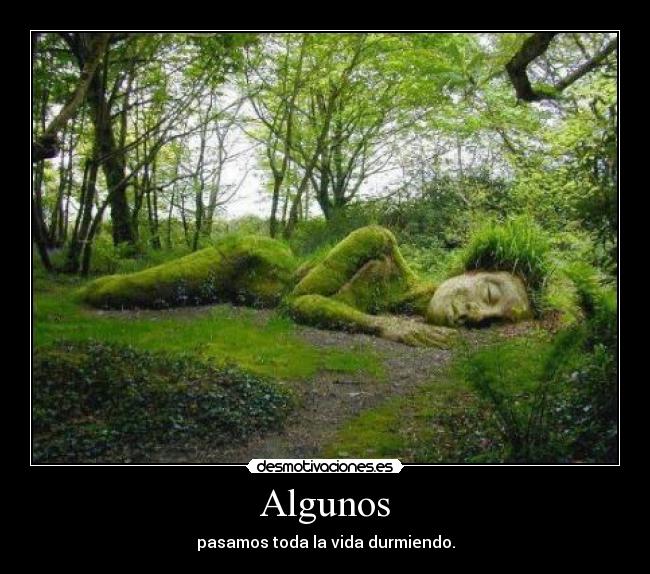 Algunos - pasamos toda la vida durmiendo.