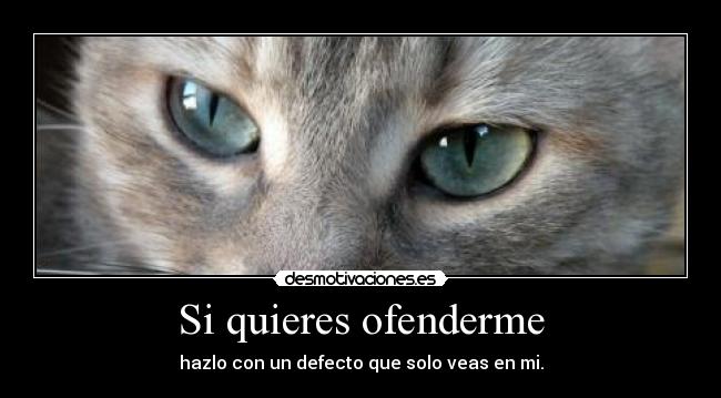 Si quieres ofenderme - hazlo con un defecto que solo veas en mi.
