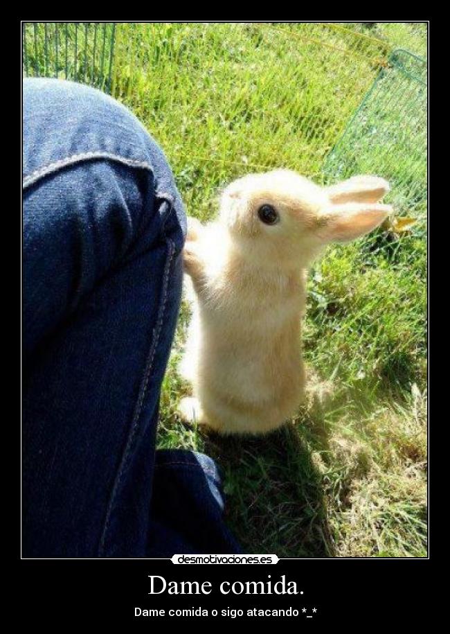 Dame comida. -