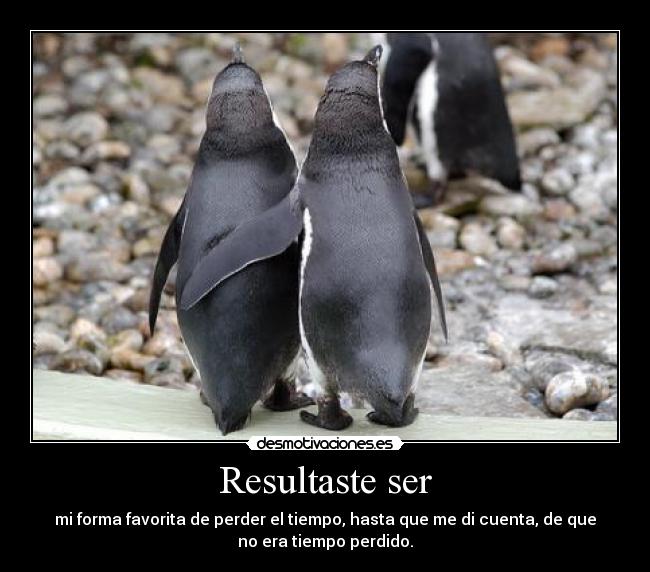 carteles pinguino desmotivaciones