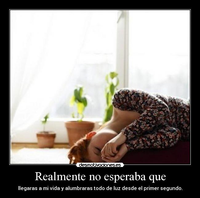 carteles imsorry desmotivaciones