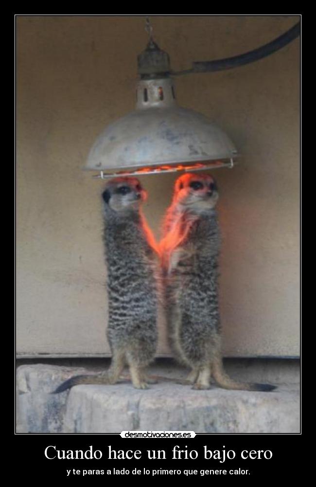 carteles fff desmotivaciones