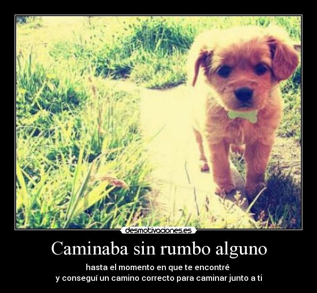 Caminaba sin rumbo alguno - hasta el momento en que te encontré
y conseguí un camino correcto para caminar junto a ti