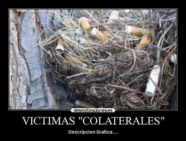 VICTIMAS COLATERALES - Descripcion Grafica.....
