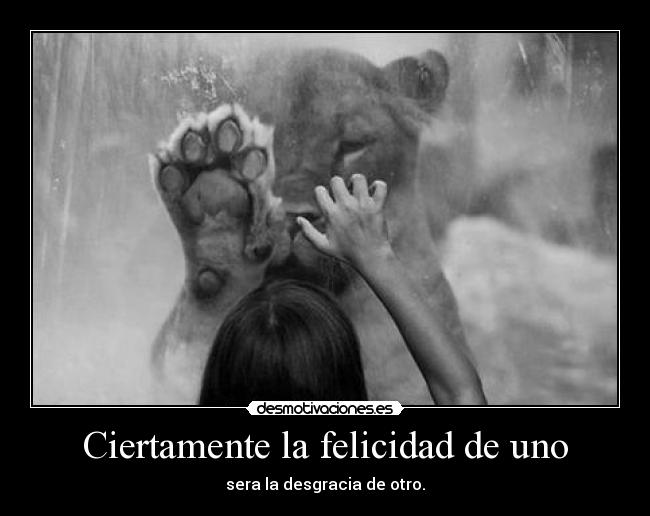 carteles felicidad del nino leona desmotivaciones