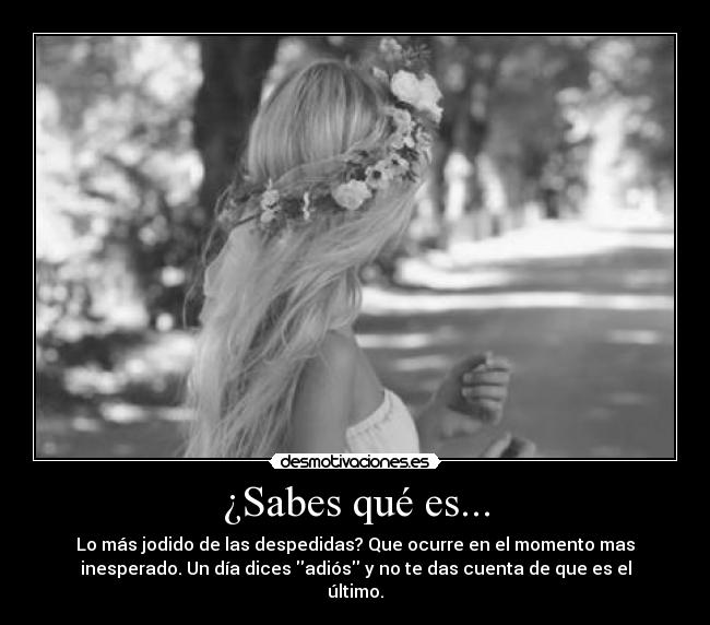 ¿Sabes qué es... - 