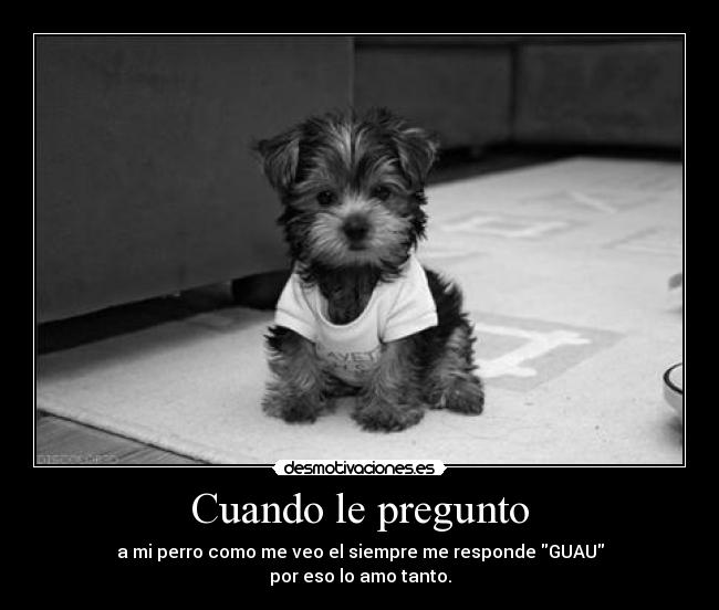Cuando le pregunto - a mi perro como me veo el siempre me responde GUAU
por eso lo amo tanto.