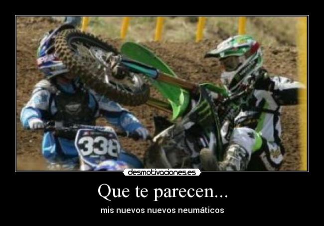Que te parecen... -