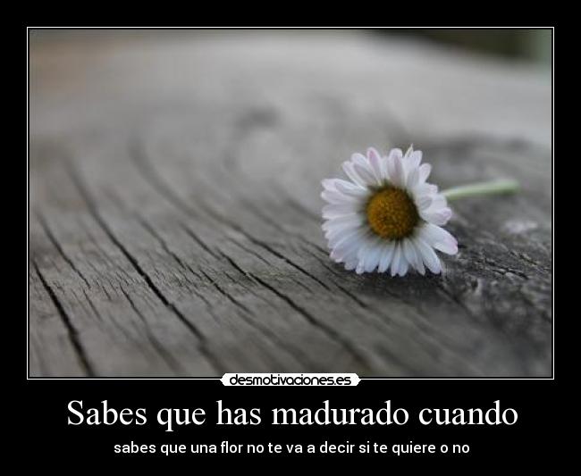 Sabes que has madurado cuando - sabes que una flor no te va a decir si te quiere o no