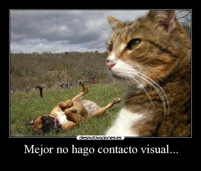 Mejor no hago contacto visual... - 