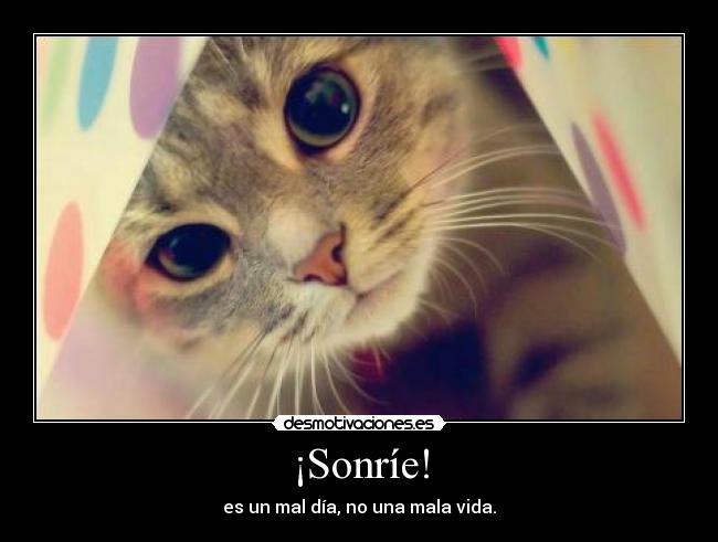 ¡Sonríe! - es un mal día, no una mala vida.