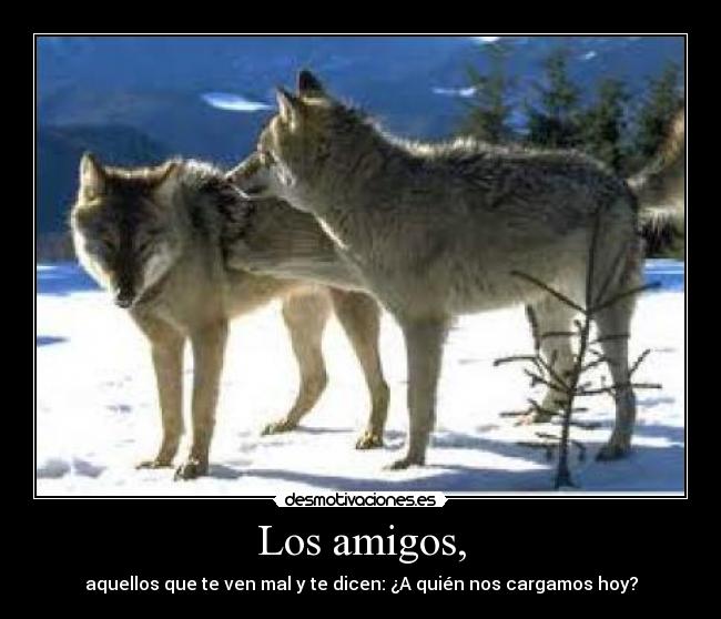 Los amigos, -