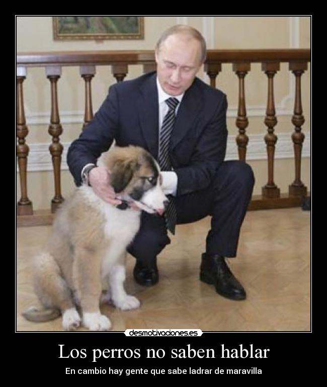 Los perros no saben hablar - 