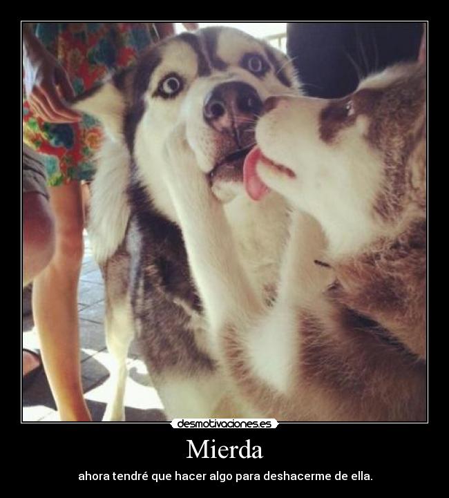 carteles idairita iiroinita mec mec mec megoras evriguer desmotivaciones