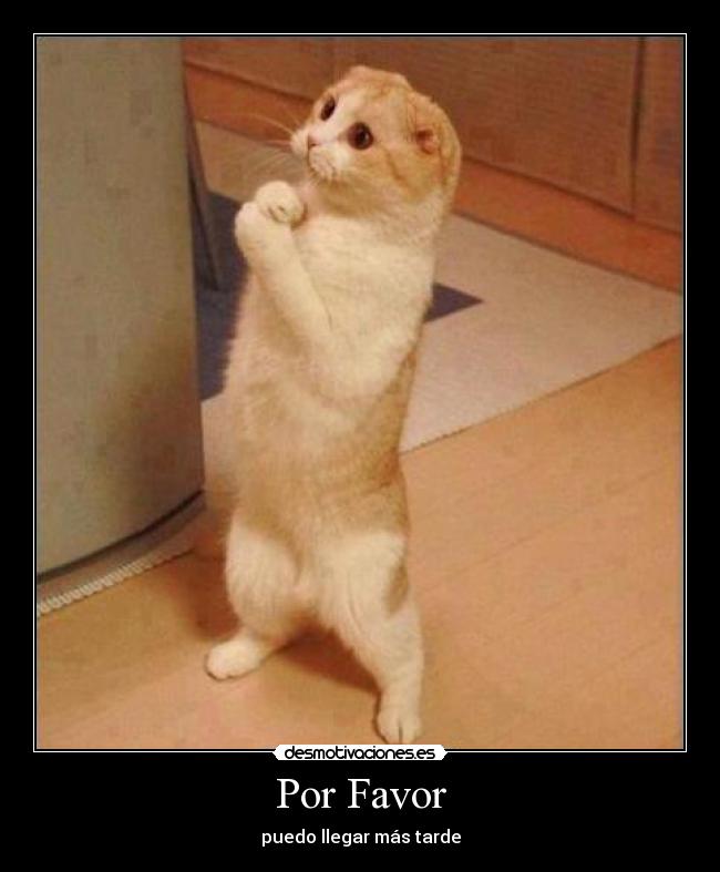 carteles por favor puedo llegar mas tarde desmotivaciones
