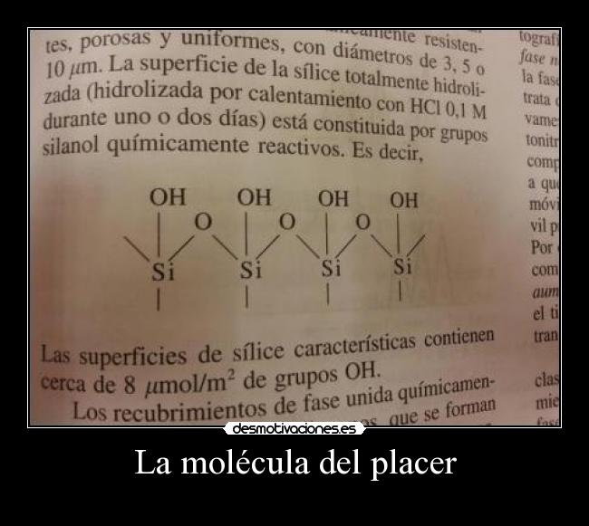 La molécula del placer - 