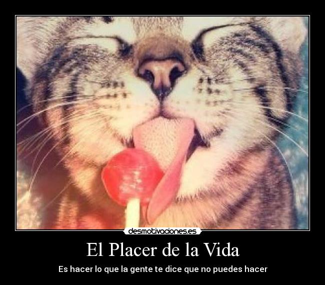 carteles vida placer disfrutar que nos gusta desmotivaciones