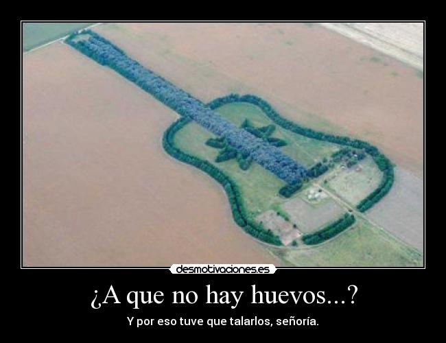 ¿A que no hay huevos...? - Y por eso tuve que talarlos, señoría.