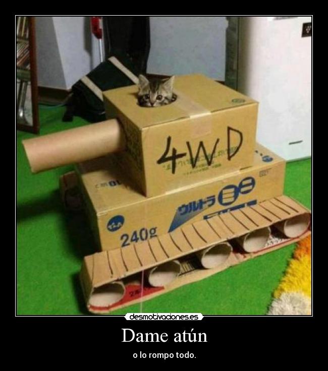 carteles cuidado chicos estamos ante gatito demasiado lindo desmotivaciones