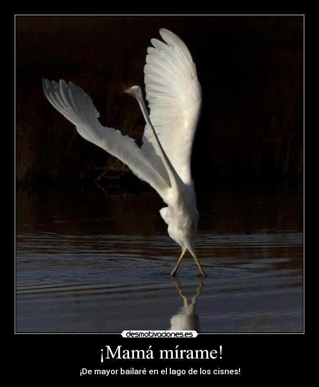 ¡Mamá mírame! - ¡De mayor bailaré en el lago de los cisnes!