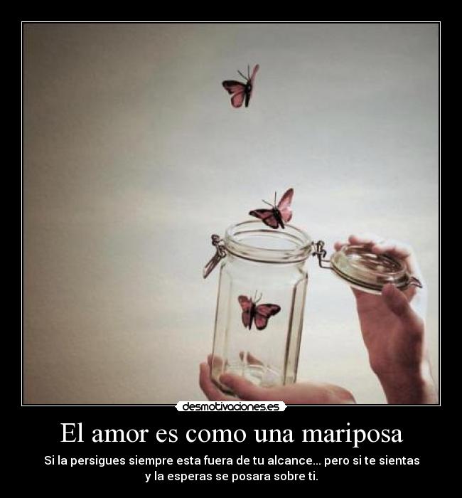 El amor es como una mariposa -