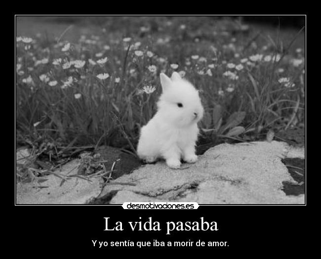 La vida pasaba - Y yo sentía que iba a morir de amor.