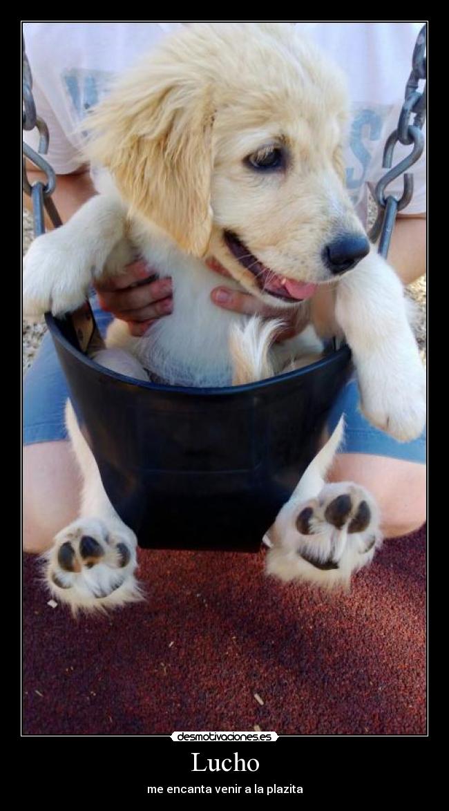 Lucho - me encanta venir a la plazita