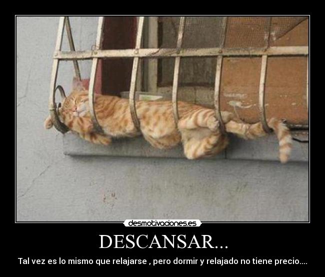 DESCANSAR... - Tal vez es lo mismo que relajarse , pero dormir y relajado no tiene precio....