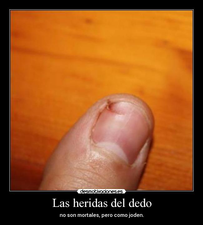 carteles  desmotivaciones