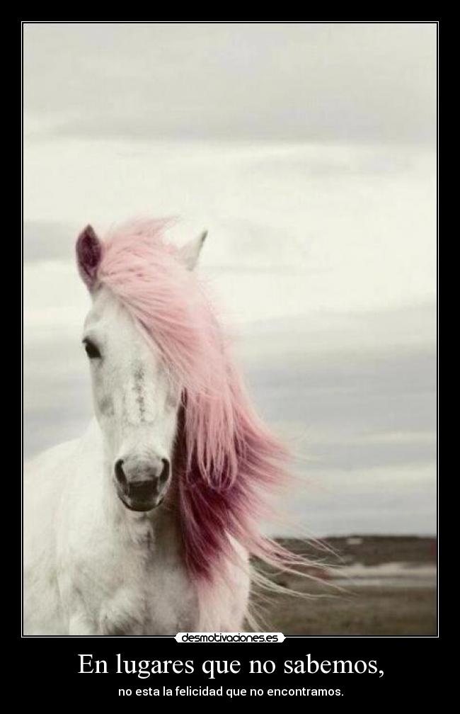 En lugares que no sabemos, -