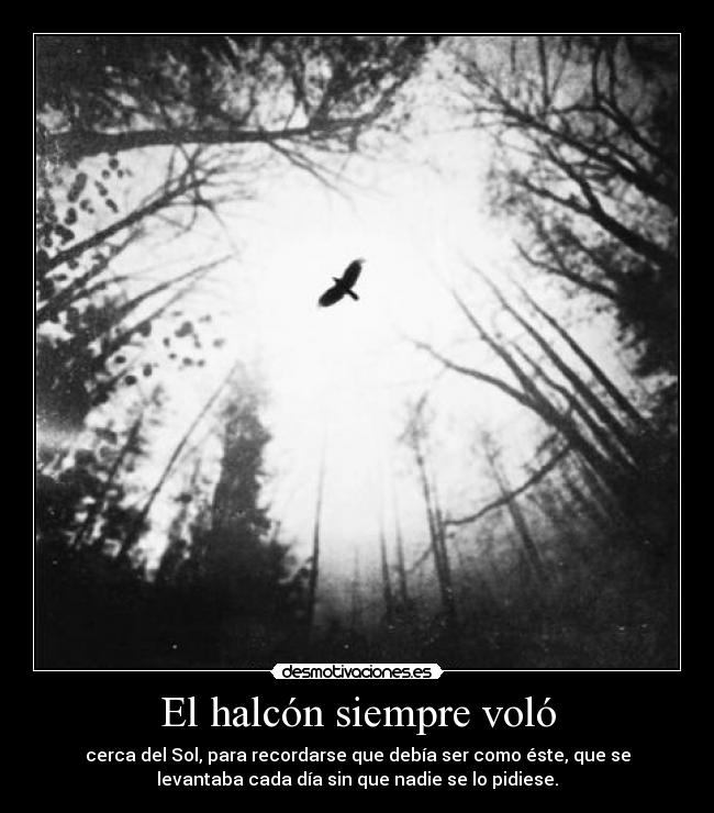 El halcón siempre voló - 