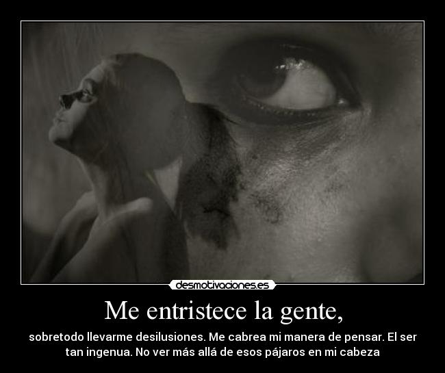 carteles dimont desmotivaciones