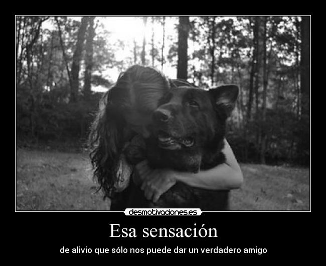 Esa sensación - de alivio que sólo nos puede dar un verdadero amigo