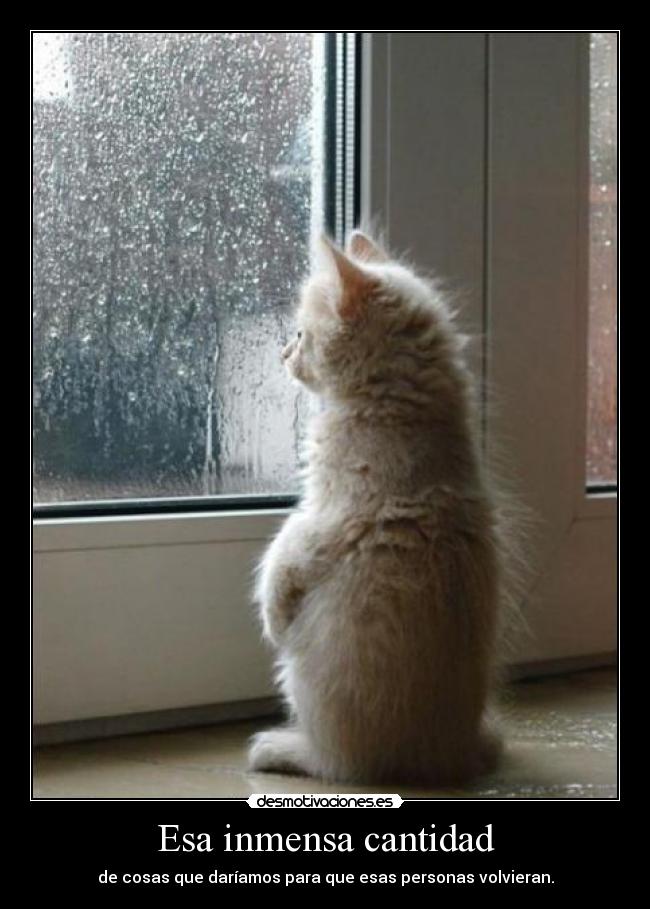 Esa inmensa cantidad - de cosas que daríamos para que esas personas volvieran.