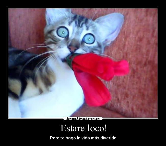 Estare loco! -