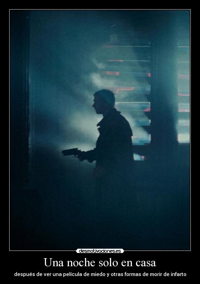 Una noche solo en casa -