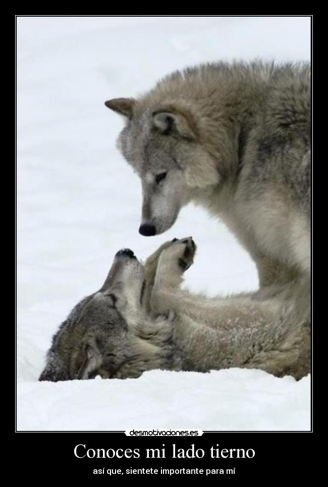 Conoces mi lado tierno -