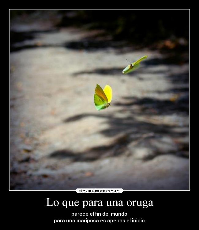 carteles nunca habia visto esa forma muy lindo desmotivaciones