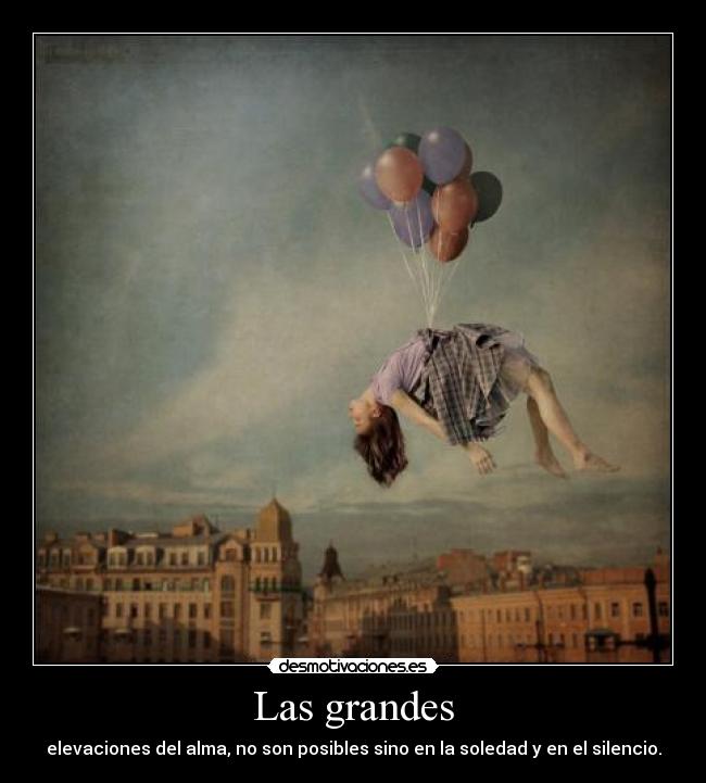 carteles amm arturo graf belovaan desmotivaciones