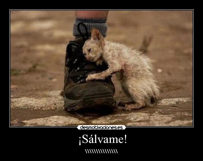 ¡Sálvame! - \\\\\\\\\\\\\\\