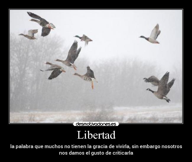 Libertad - la palabra que muchos no tienen la gracia de vivirla, sin embargo nosotros
nos damos el gusto de criticarla