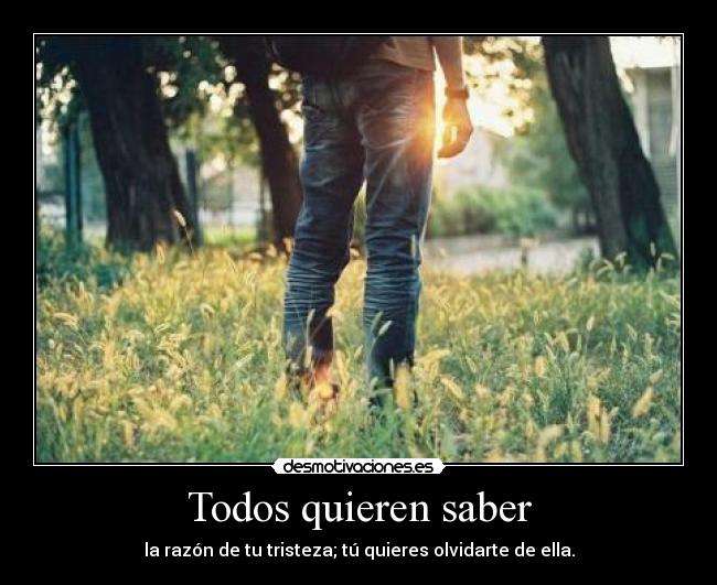 Todos quieren saber - 