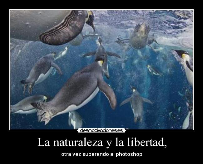La naturaleza y la libertad, - 