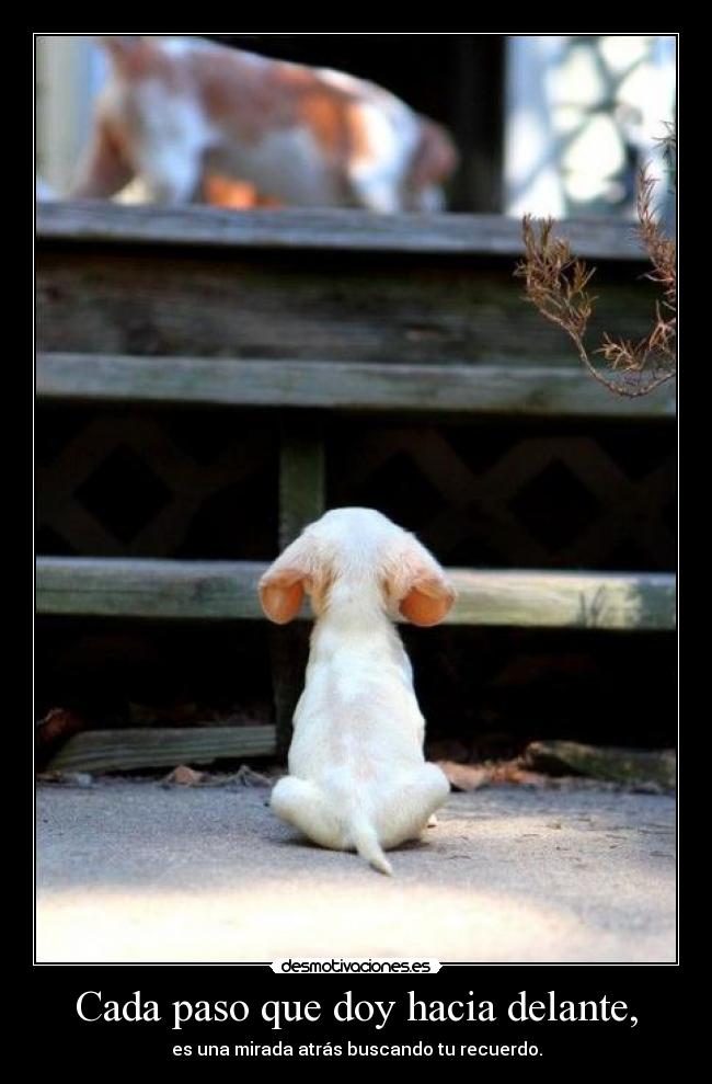 carteles asklfh desmotivaciones