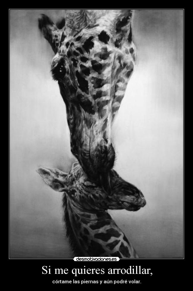Si me quieres arrodillar, - córtame las piernas y aún podré volar.