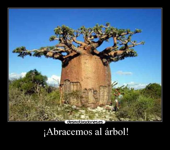 carteles baobab desmotivaciones