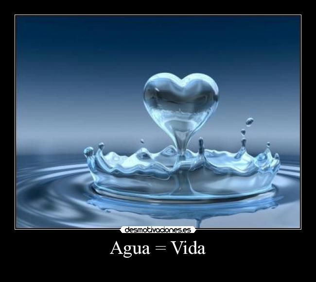 carteles vida agua igual vida desmotivaciones